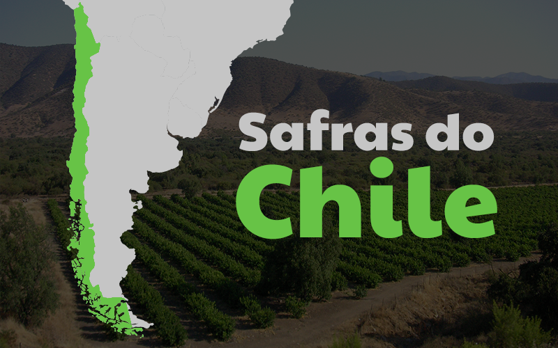 safras-fevereiro-chile