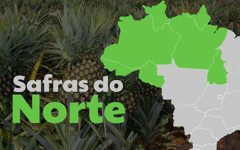 safras-fevereiro-norte