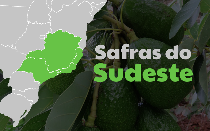 safras-fevereiro-sudeste