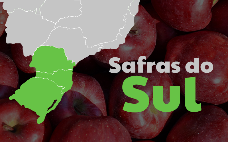safras-fevereiro-sul