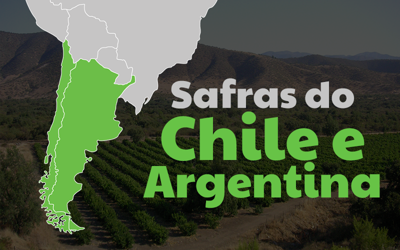 safras-chile-argentina